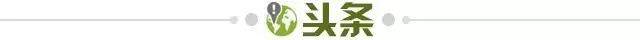 开云官网-【早报】连碰皇马巴萨，马竞欧冠出局西甲掉队！